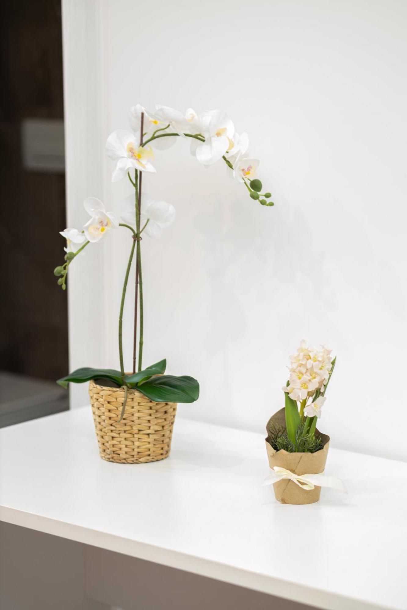 Suebi Rooms And Appartament 泰尔莫利 外观 照片